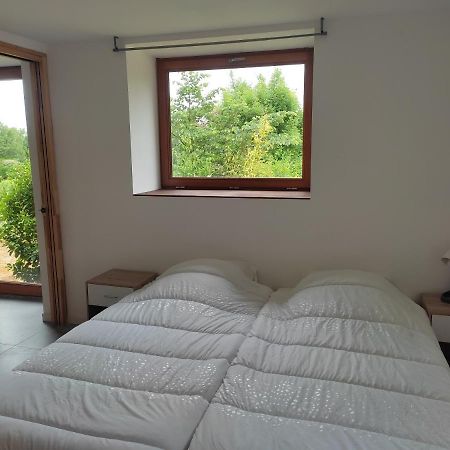 Conviviale - Longere Lumineuse - Charme & Nature Bains-sur-Oust Екстериор снимка